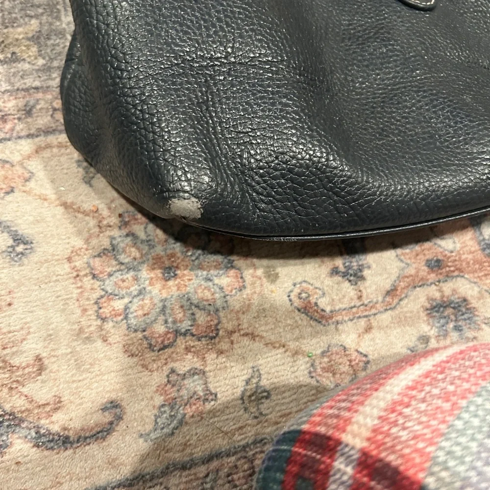 Authentic Dooney & Bourke Lucca Pebble Leather Logo Lock Sac